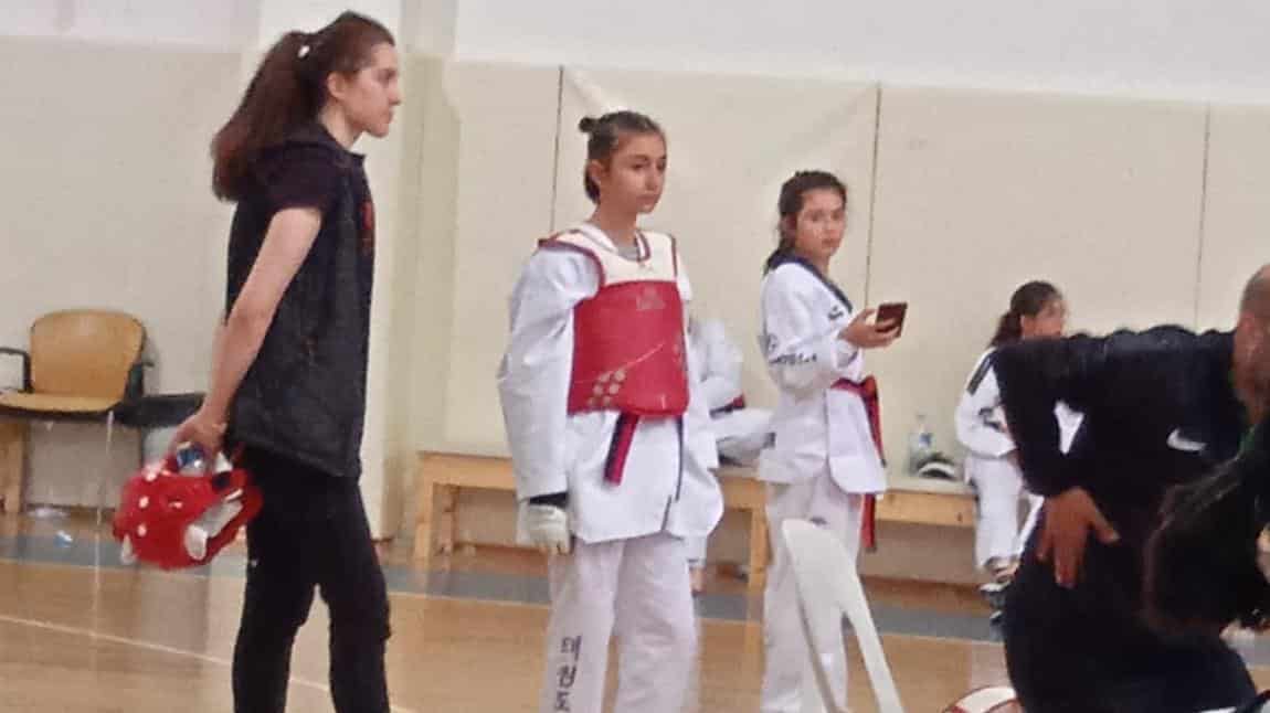 Taekwondo Turnuvası Başarımız